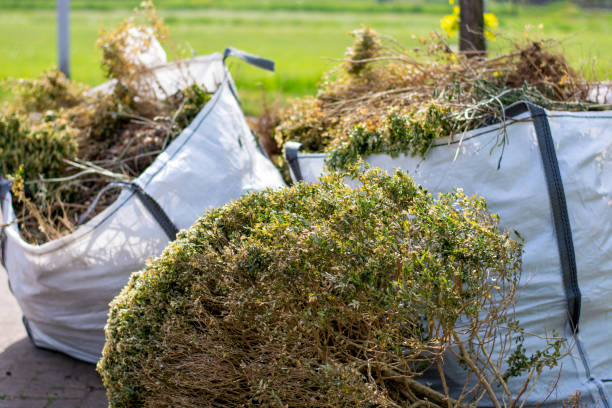 Best Trash Removal Near Me  in Timonium, MD